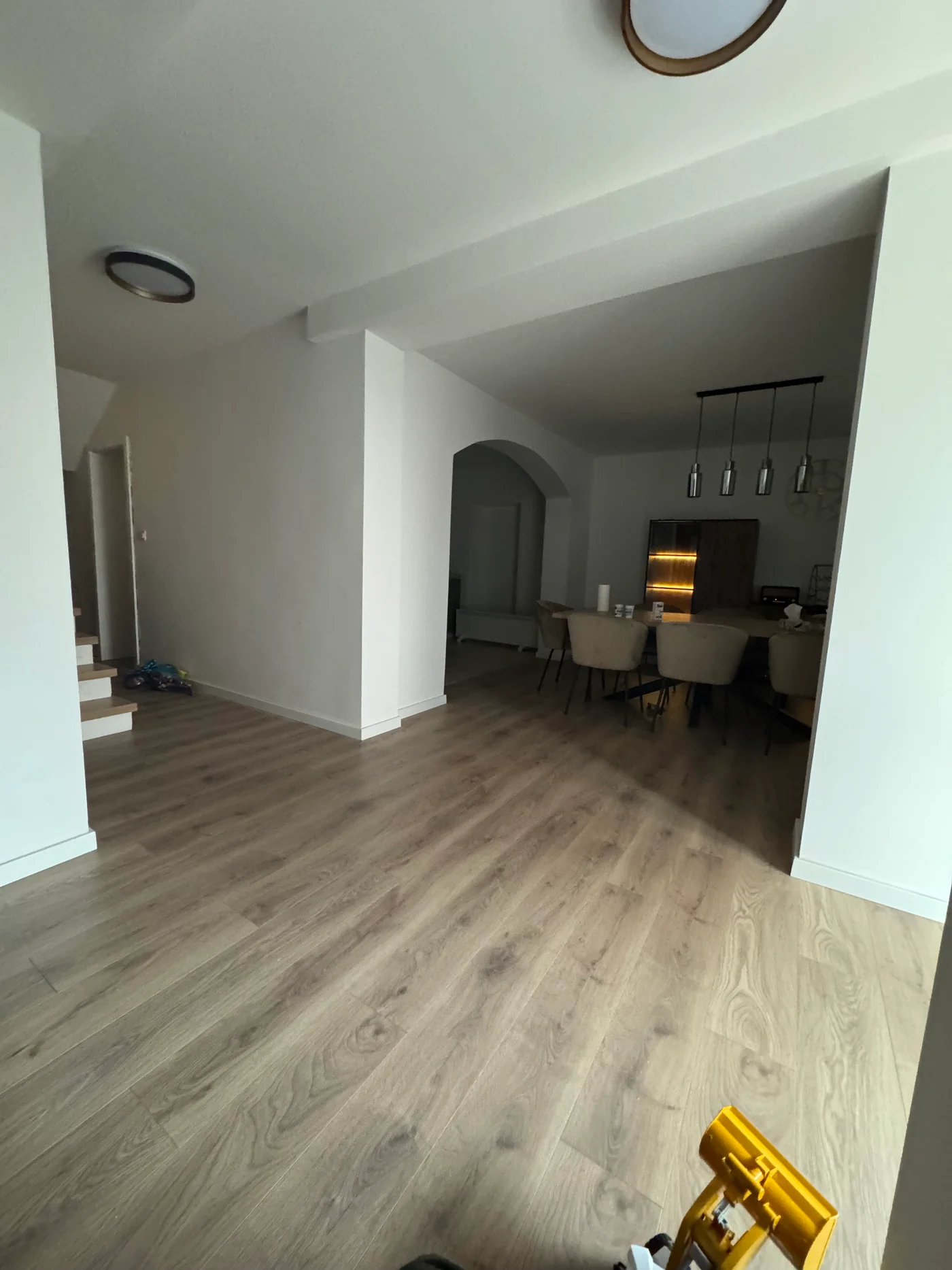 LAMINUS EXPERT