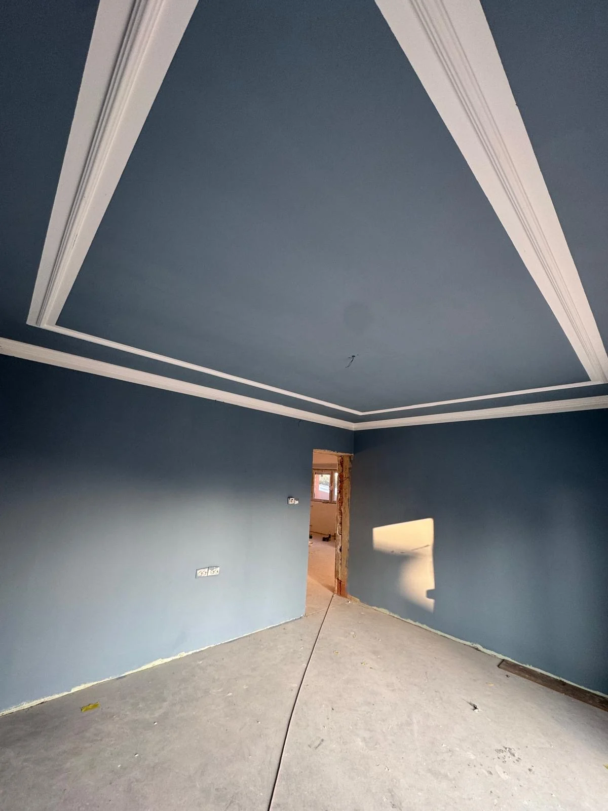 LAMINUS EXPERT