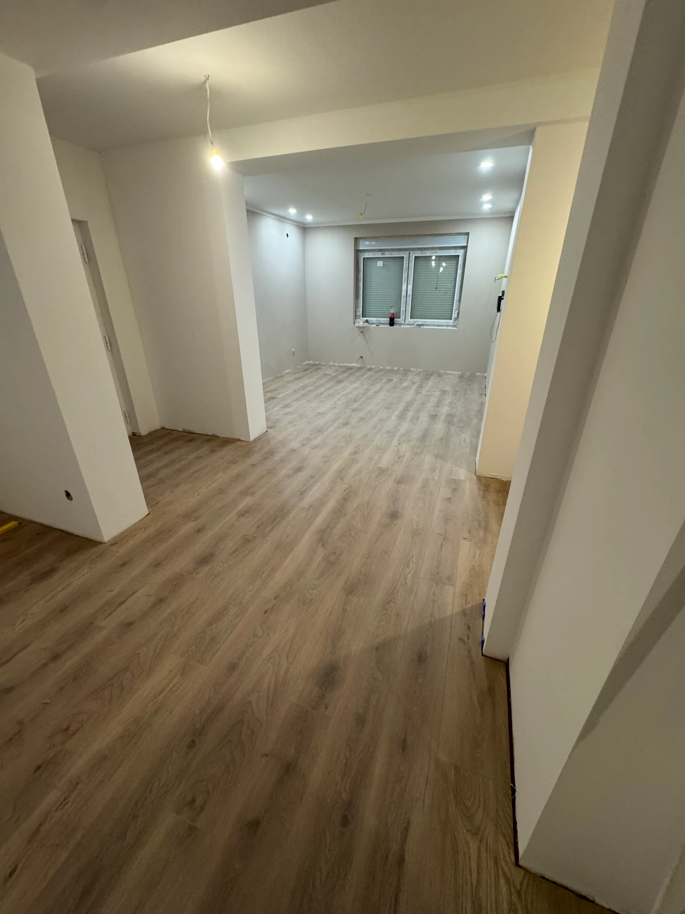 LAMINUS EXPERT
